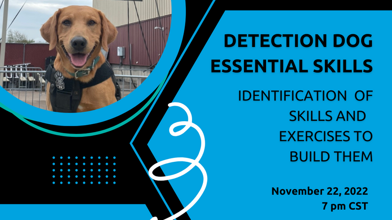 Detection Dog Essential Skills